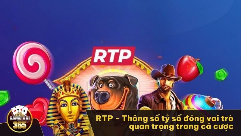 RTP - Thông số tỷ số đóng vai trò quan trọng trong cá cược